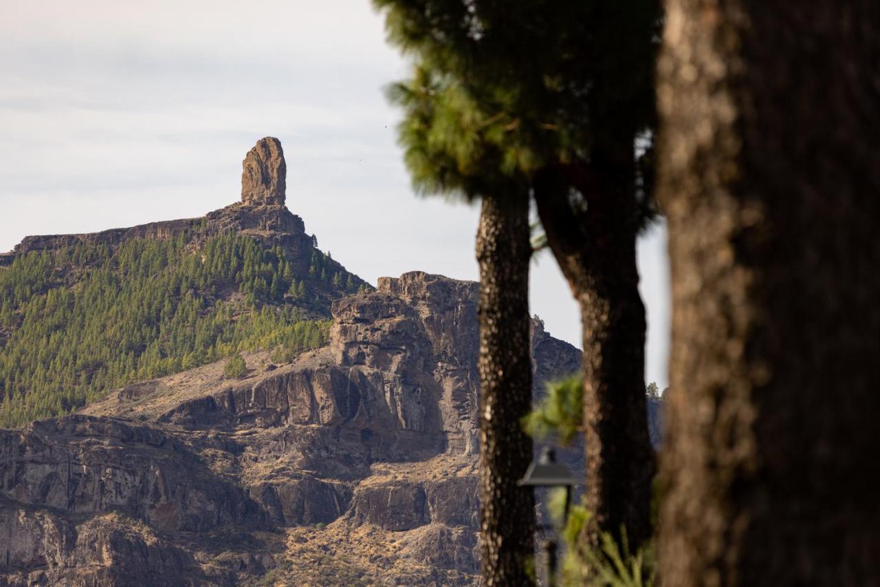 테헤다 Casa Maruca With Roque Nublo View 빌라 외부 사진